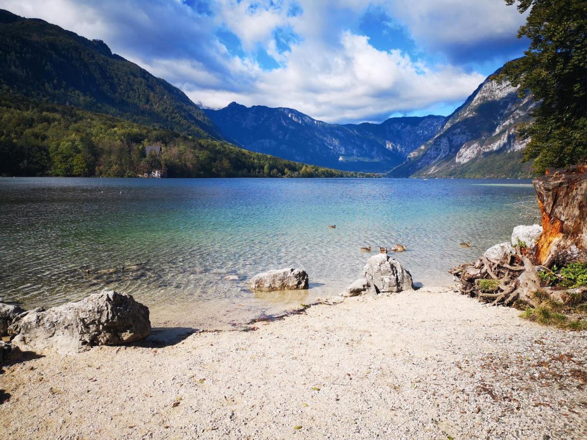 Apartmaji Prezelj Bohinj Eksteriør bilde