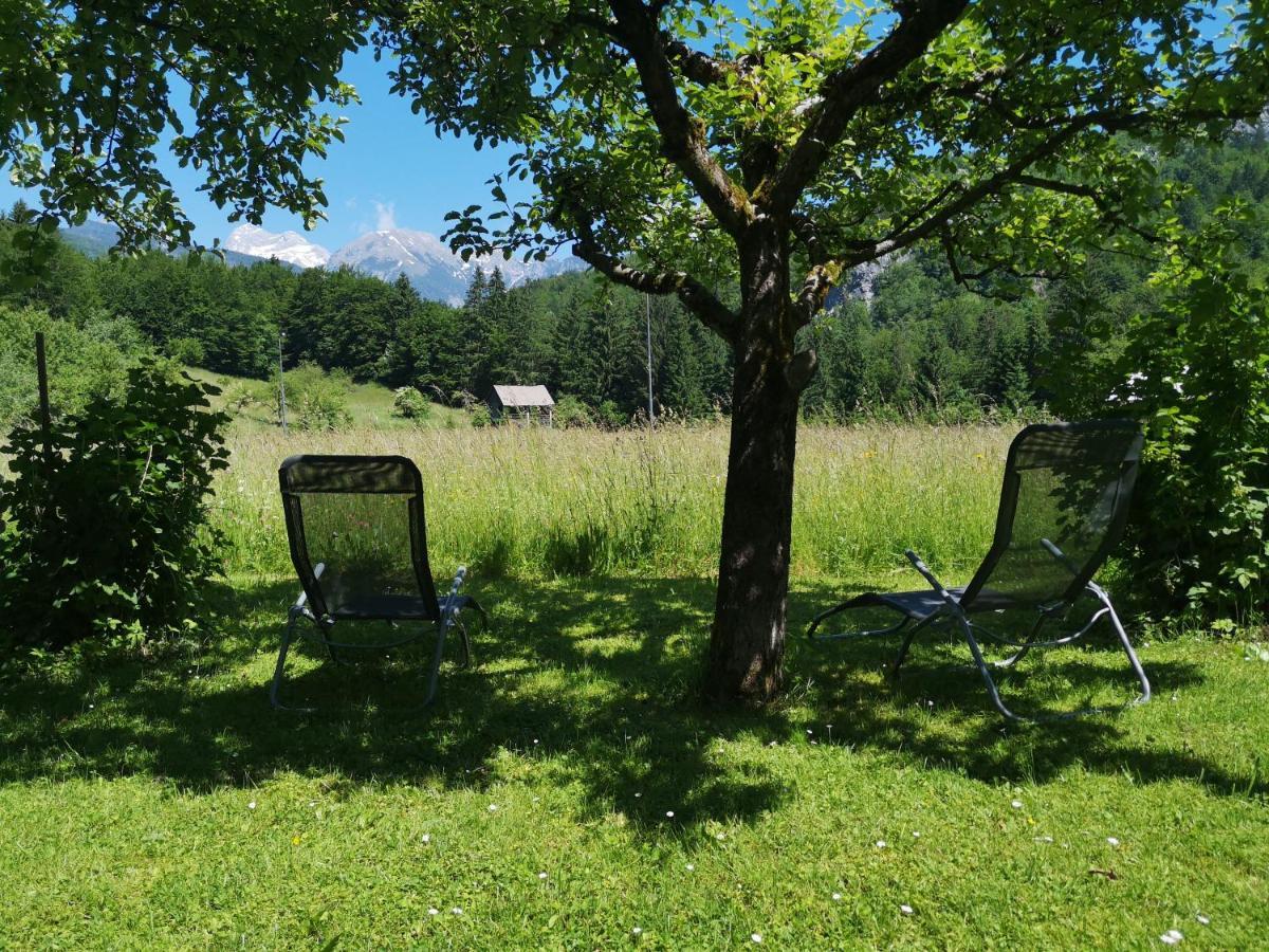 Apartmaji Prezelj Bohinj Eksteriør bilde